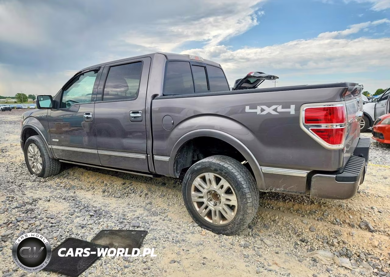 2014 Ford F150 Platinum VIN:1FTFW1ET7EFA33213 - 2