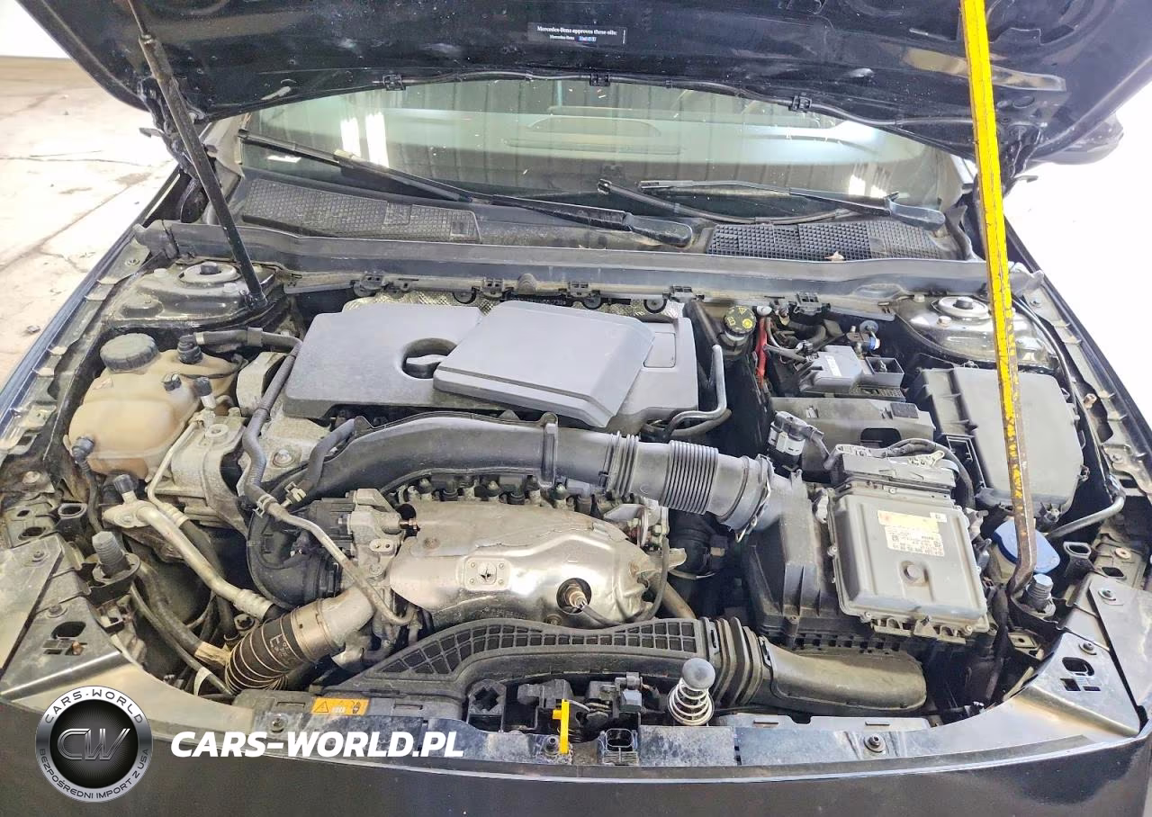 2019 Mercedes-Benz A 220 4Matic VIN:WDD3G4FB2KW001732 - 11