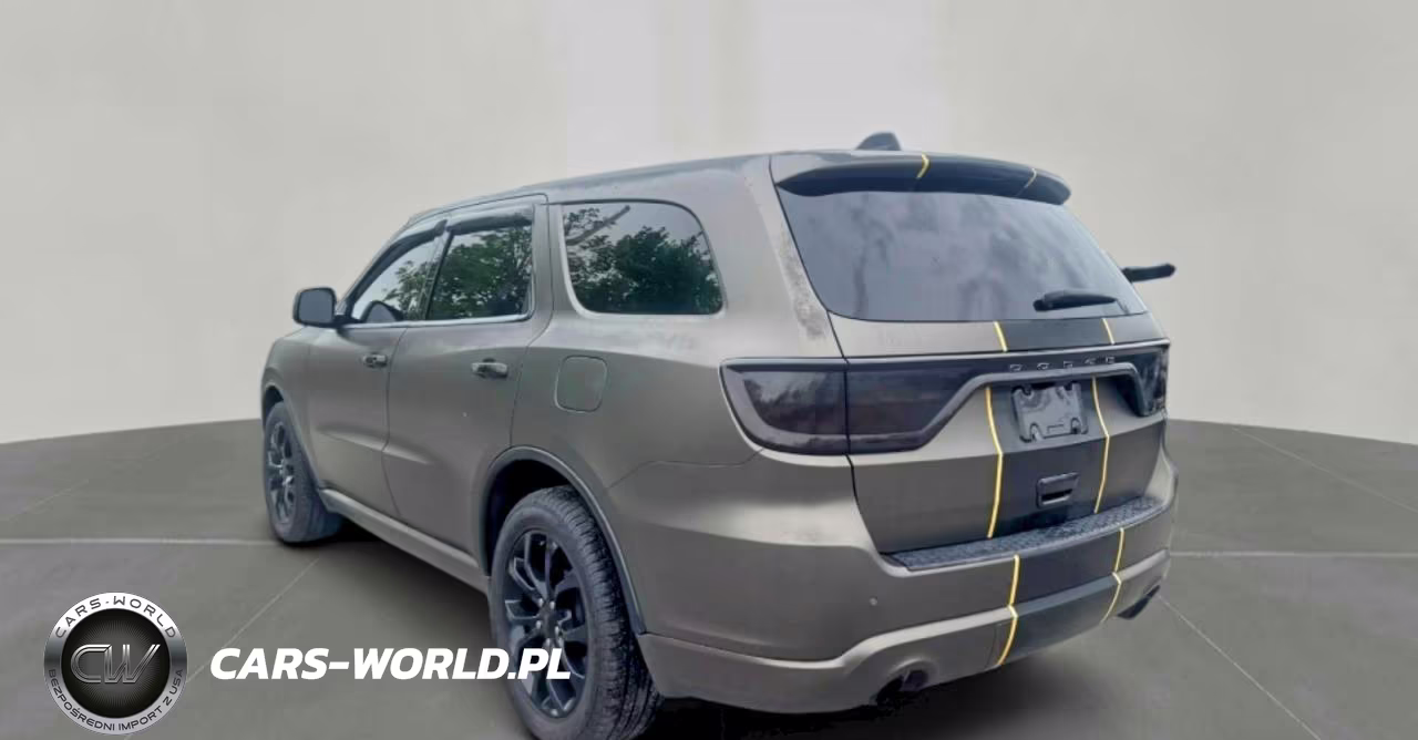 2019 Dodge Durango Gt VIN:1C4RDJDG9KC733965 - 3