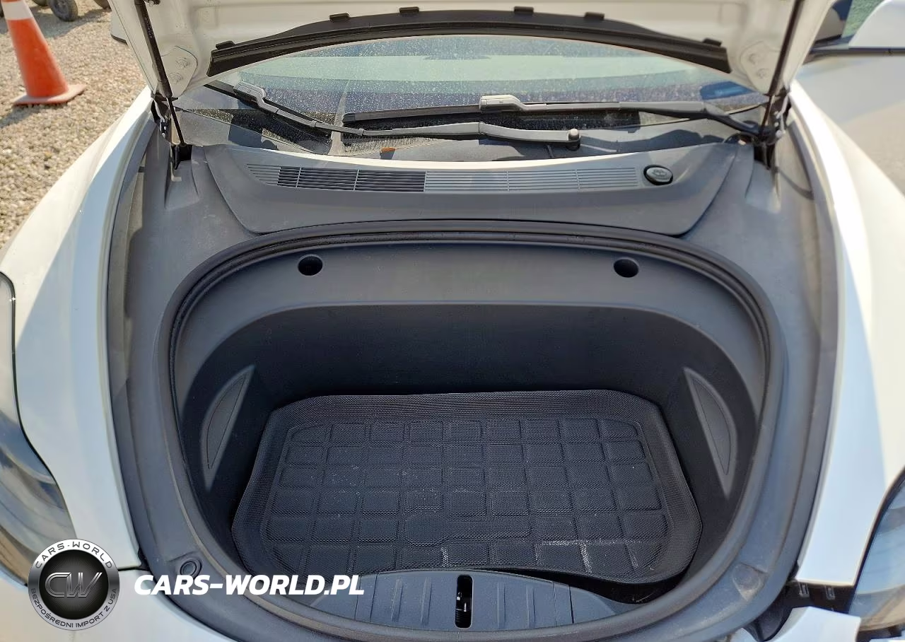 2021 Tesla Model 3 VIN:5YJ3E1EA9MF002696 - 11