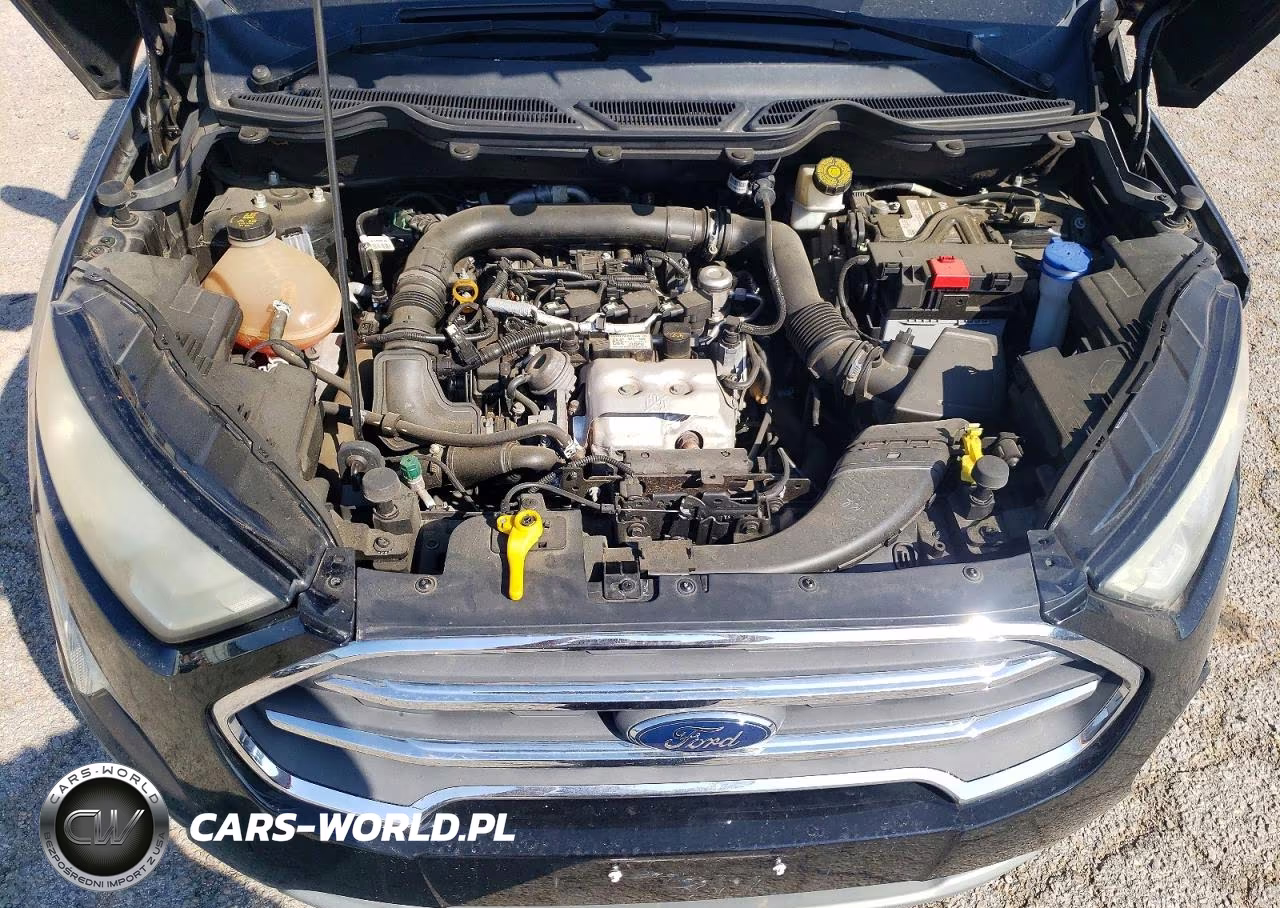 2019 Ford Ecosport Titanium VIN:MAJ3S2KE0KC261387 - 12