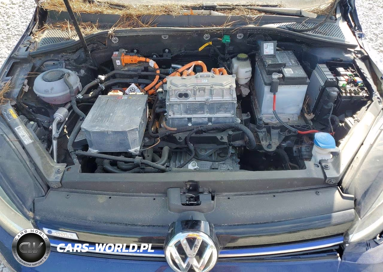2017 Volkswagen E-Golf Se VIN:WVWKR7AU4HW954204 - 12