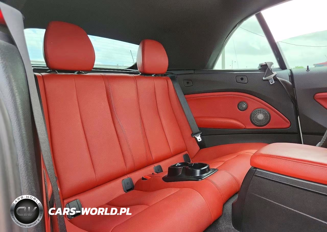 2016 BMW 228 I Sulev VIN:WBA1K9C52GV322644 - 10