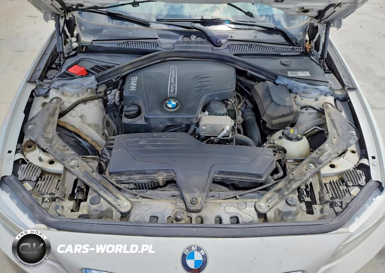 2016 BMW 228 I Sulev VIN:WBA1K9C52GV322644 - 11