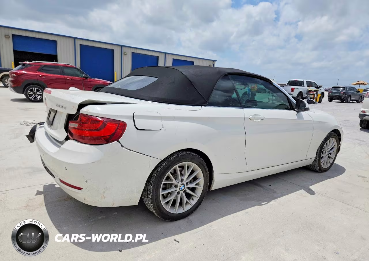 2016 BMW 228 I Sulev VIN:WBA1K9C52GV322644 - 3