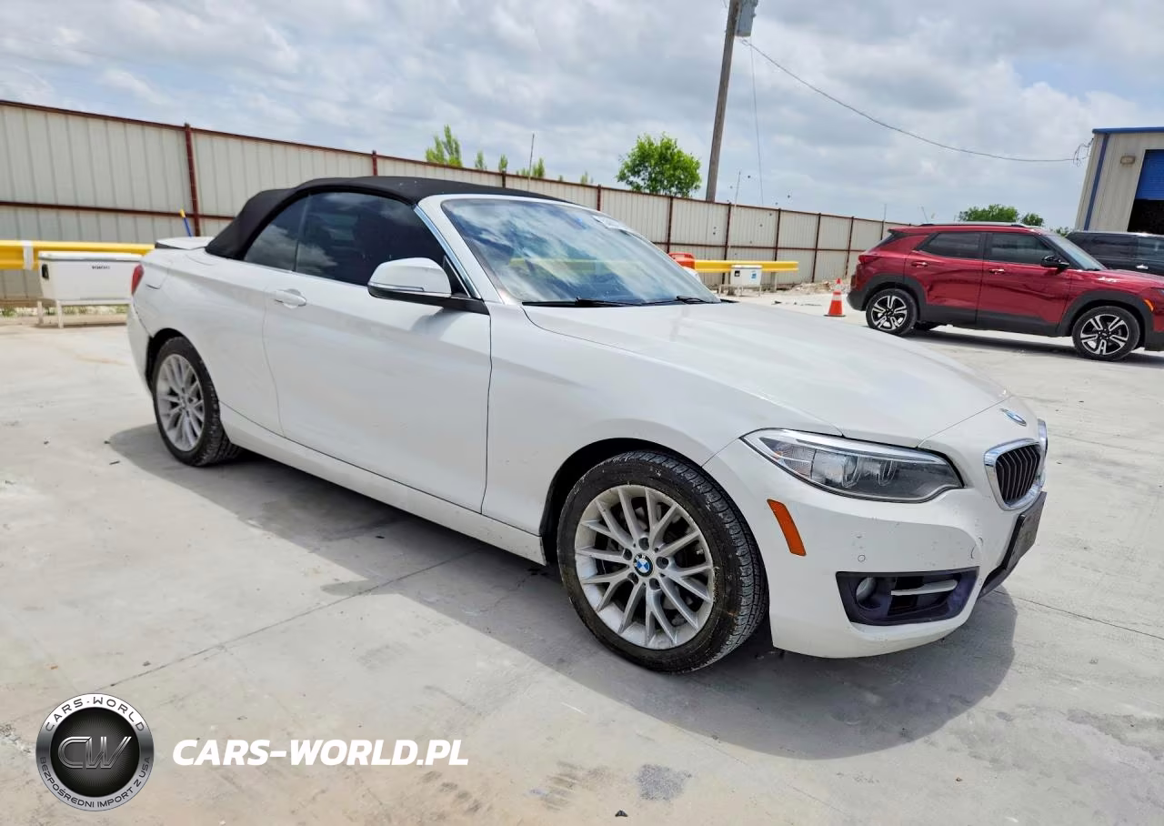 2016 BMW 228 I Sulev VIN:WBA1K9C52GV322644 - 4