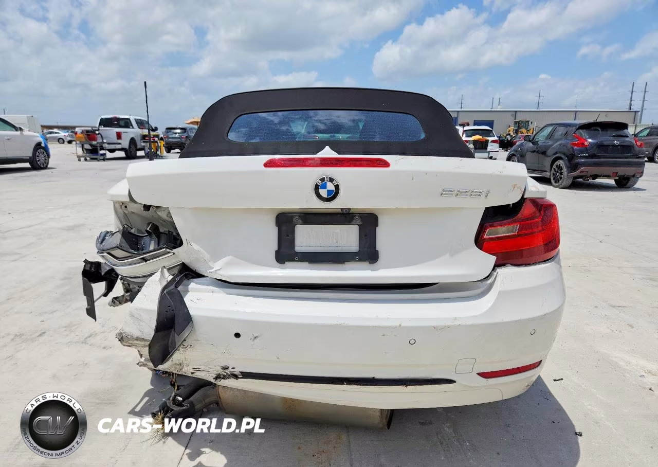 2016 BMW 228 I Sulev VIN:WBA1K9C52GV322644 - 6