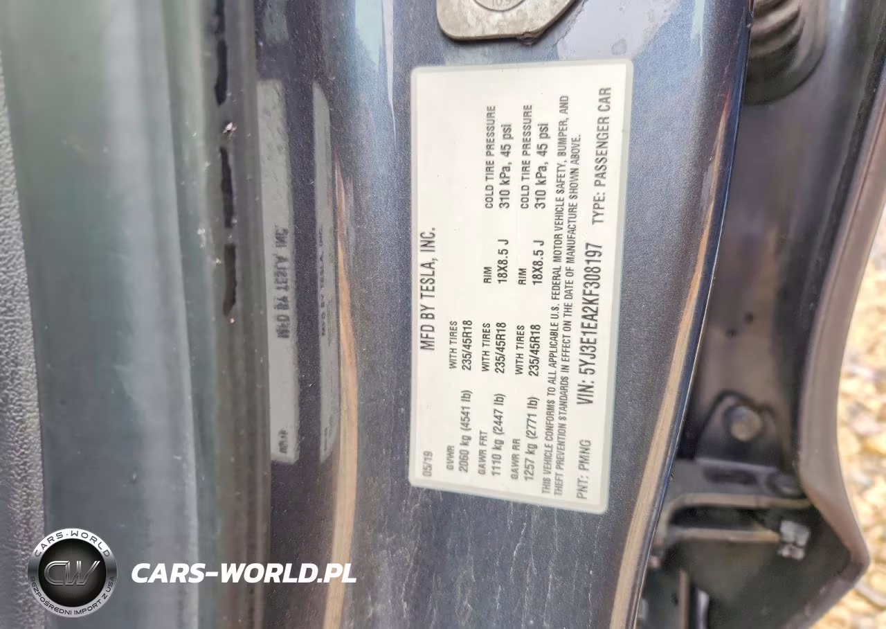 2019 Tesla Model 3 VIN:5YJ3E1EA2KF308197 - 12