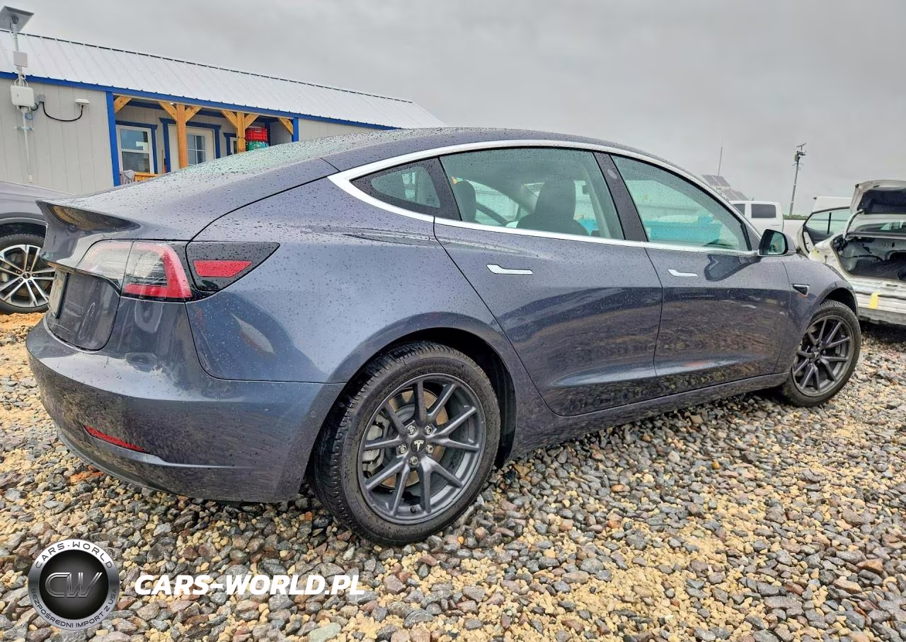 2019 Tesla Model 3 VIN:5YJ3E1EA2KF308197 - 3