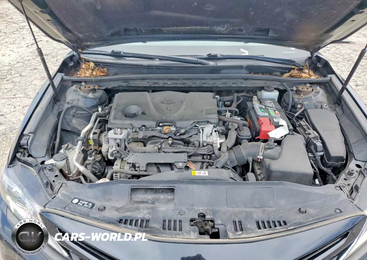 2019 Toyota Camry Se VIN:4T1B11HK2KU176170 - 11