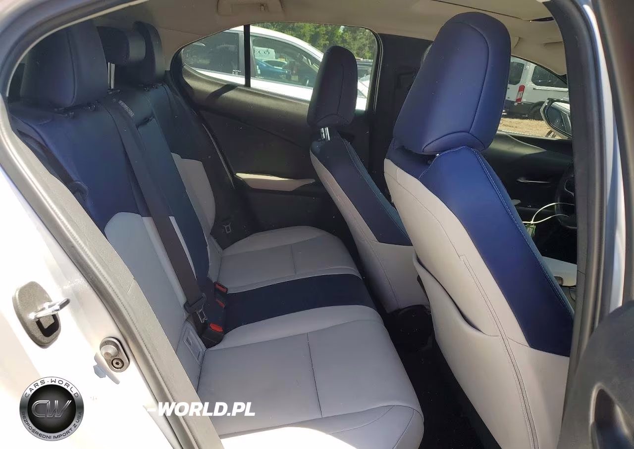 2019 Lexus Ux 250H VIN:JTHU9JBH8K2016694 - 10