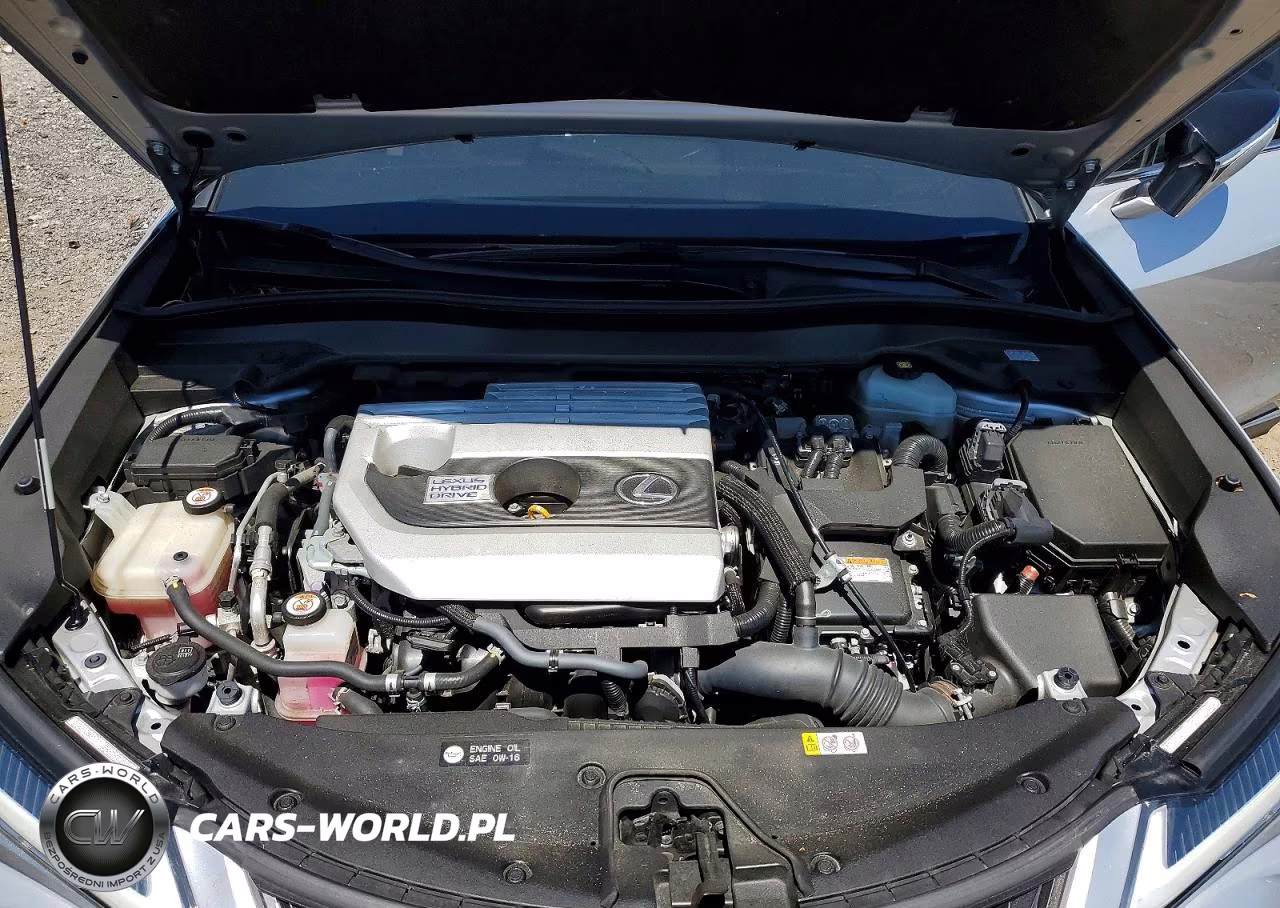 2019 Lexus Ux 250H VIN:JTHU9JBH8K2016694 - 11