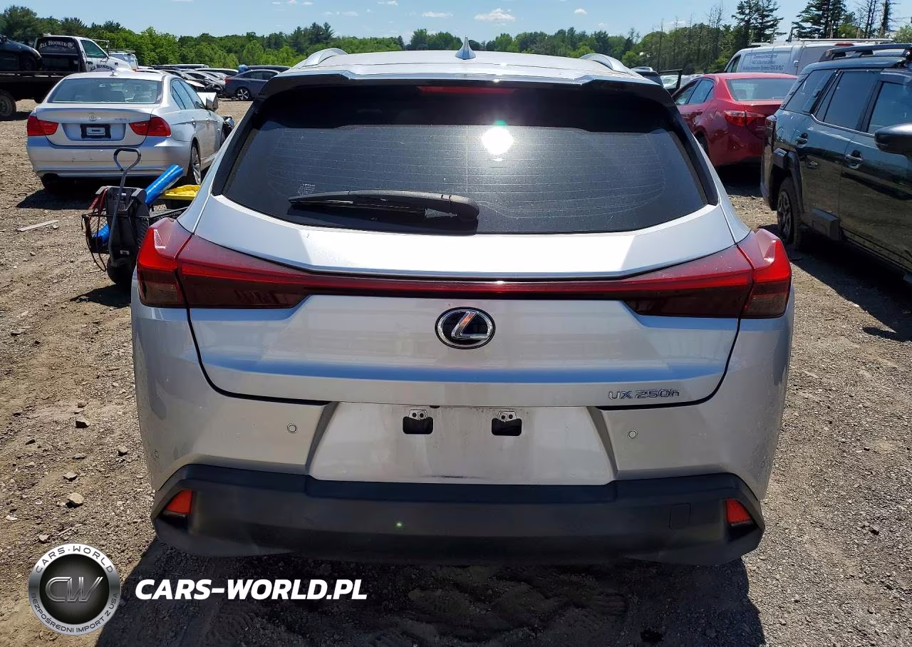 2019 Lexus Ux 250H VIN:JTHU9JBH8K2016694 - 6