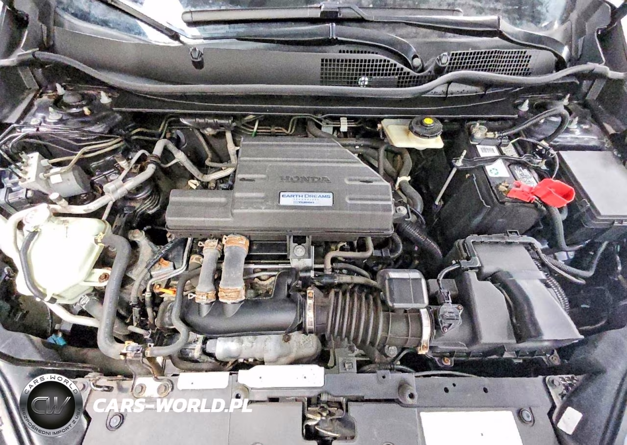 2019 Honda Cr-V Exl VIN:5J6RW2H89KL022215 - 12