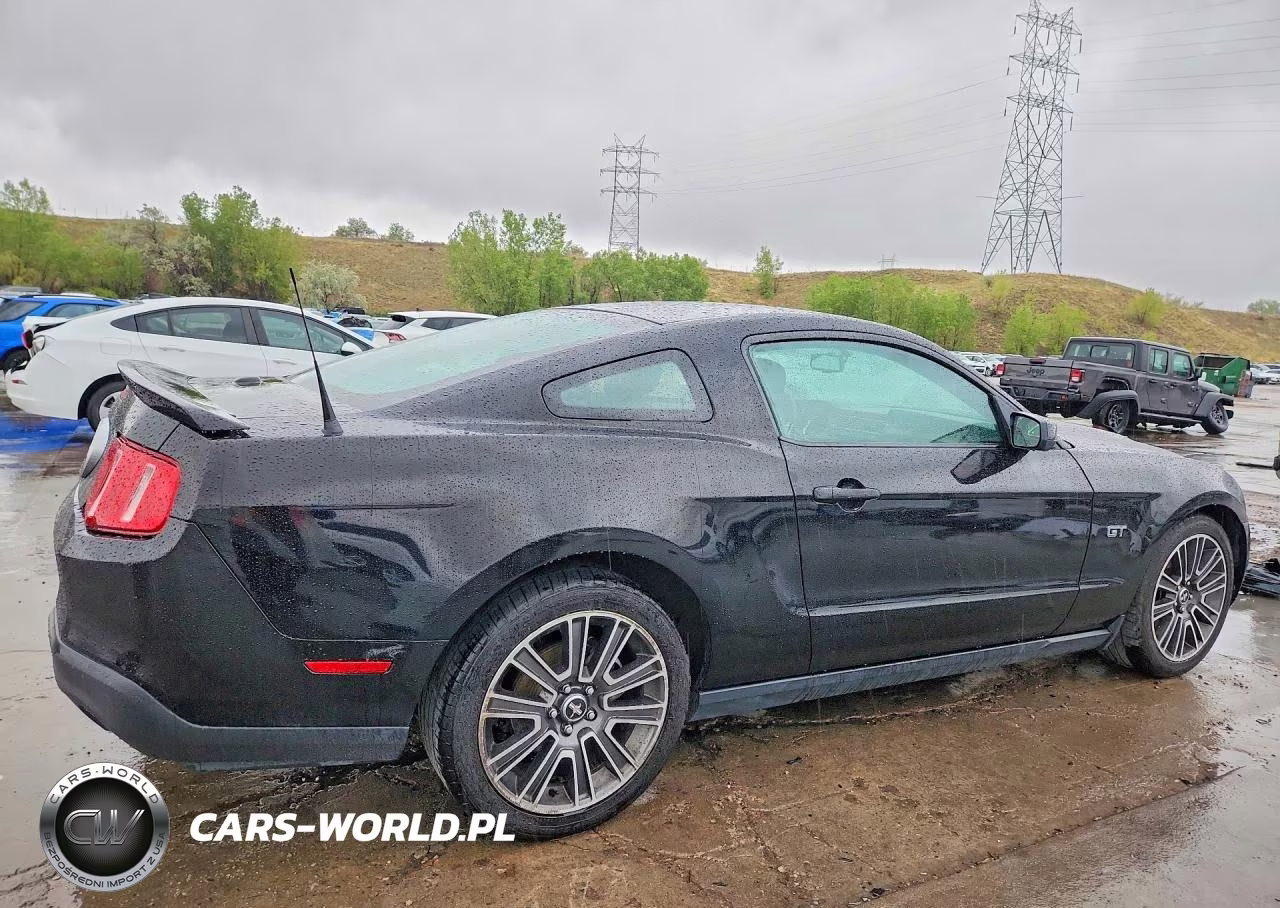 2010 Ford Mustang Gt VIN:1ZVBP8CH9A5114973 - 3