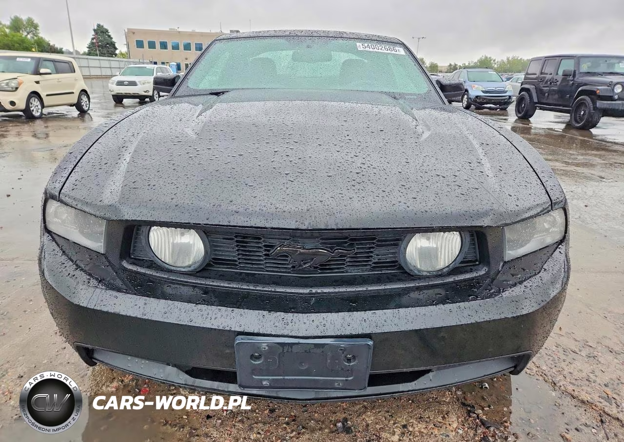 2010 Ford Mustang Gt VIN:1ZVBP8CH9A5114973 - 5