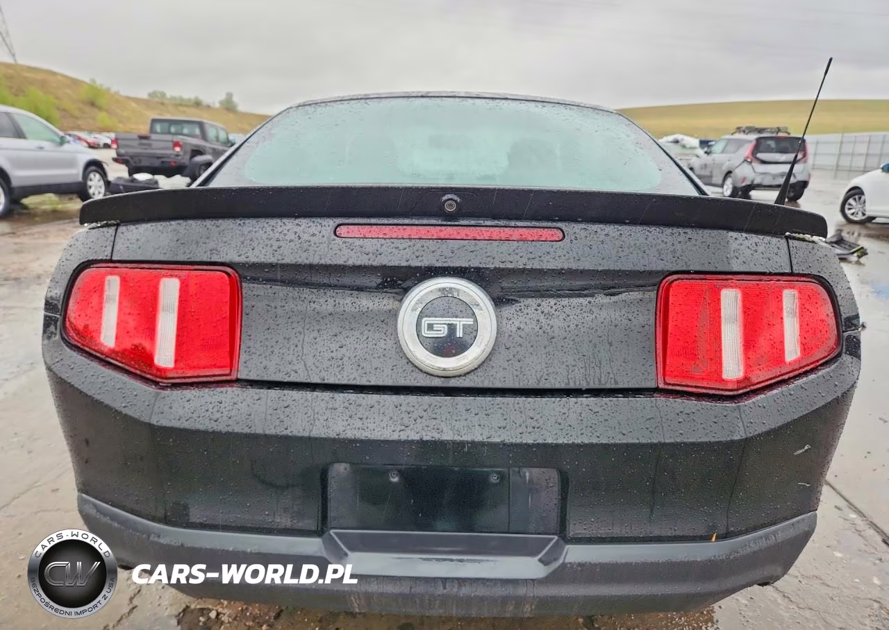 2010 Ford Mustang Gt VIN:1ZVBP8CH9A5114973 - 6