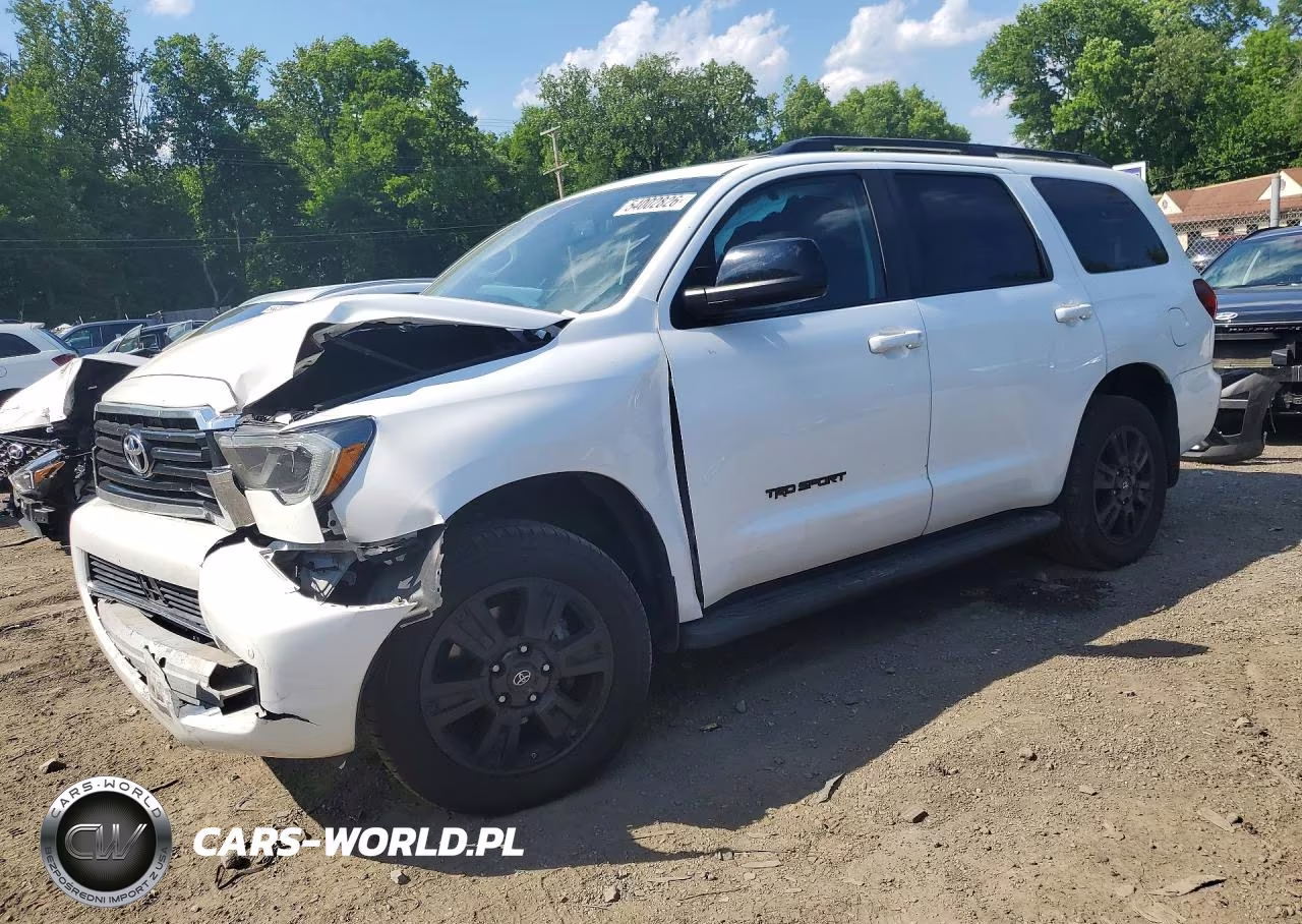 2019 Toyota Sequoia Trd Sport