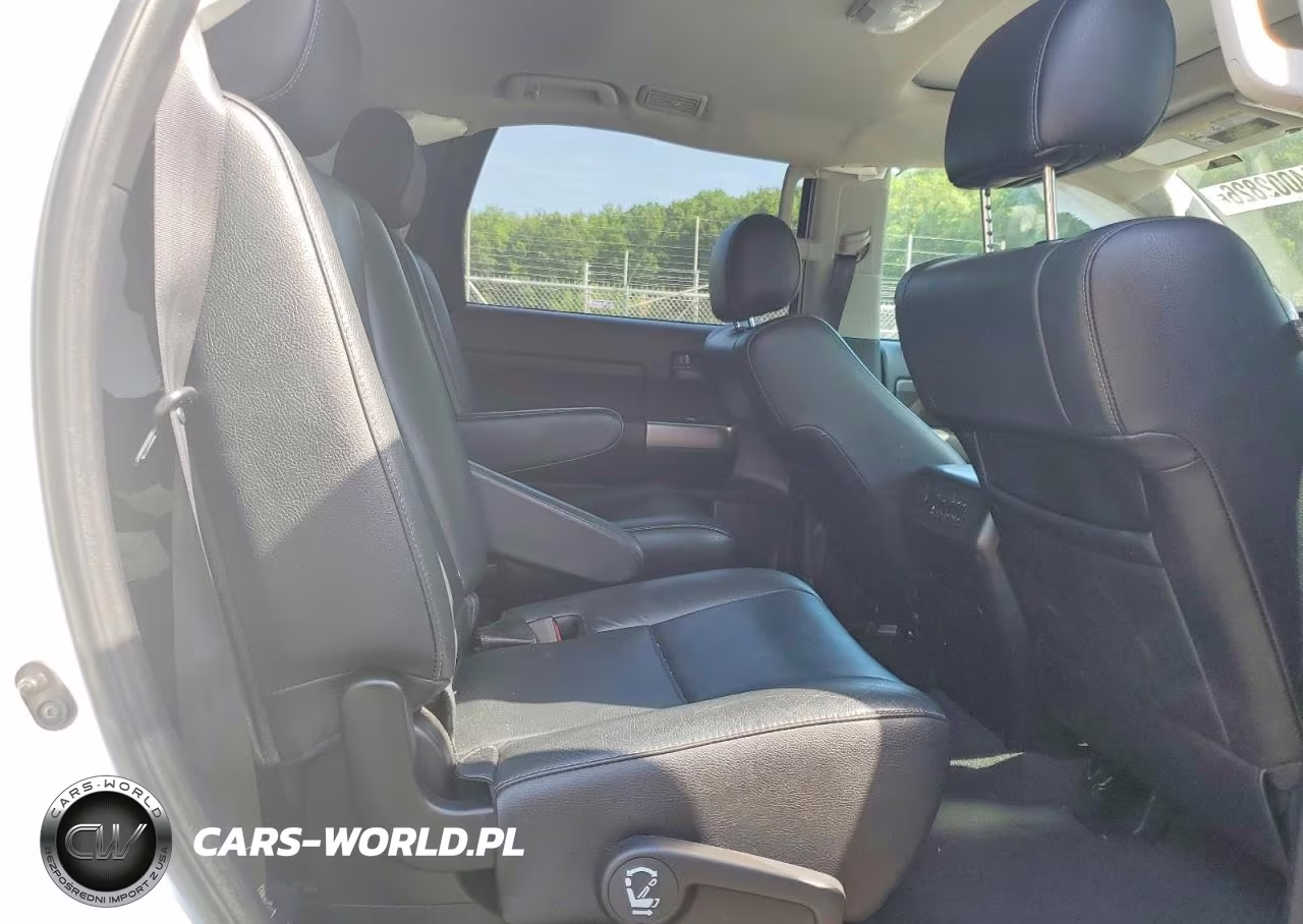 2019 Toyota Sequoia Trd Sport VIN:5TDBY5G18KS171799 - 10
