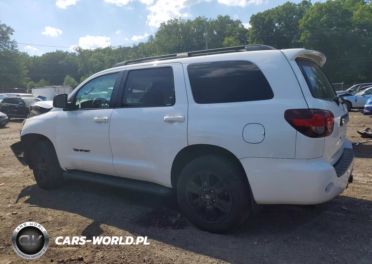 2019 Toyota Sequoia Trd Sport VIN:5TDBY5G18KS171799 - 2