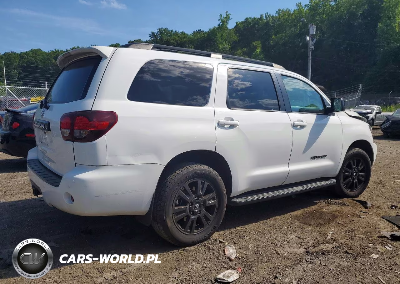 2019 Toyota Sequoia Trd Sport VIN:5TDBY5G18KS171799 - 3