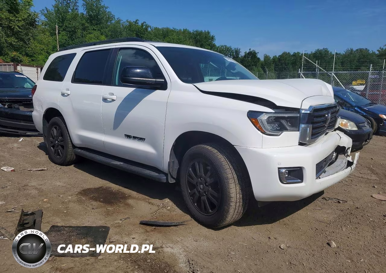 2019 Toyota Sequoia Trd Sport VIN:5TDBY5G18KS171799 - 4