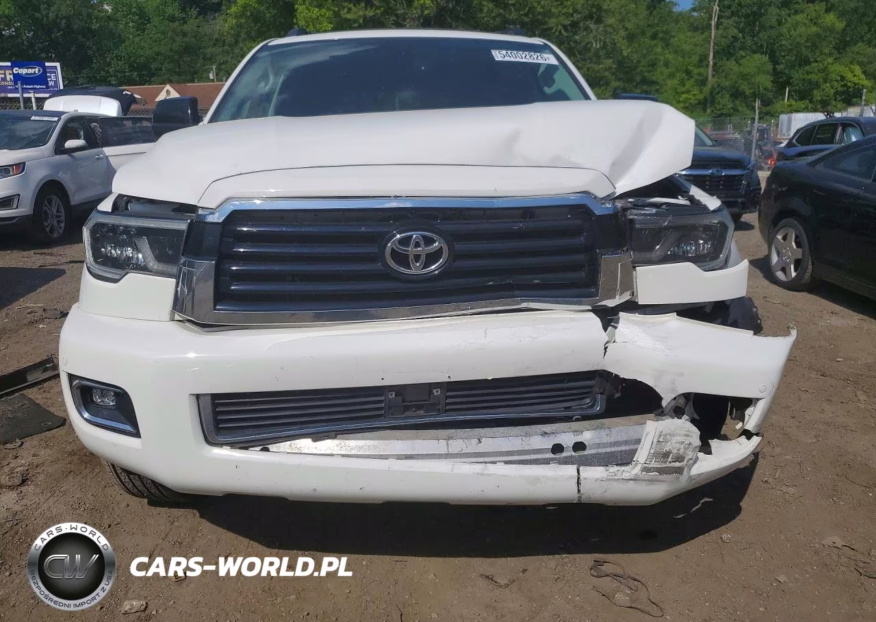 2019 Toyota Sequoia Trd Sport VIN:5TDBY5G18KS171799 - 5