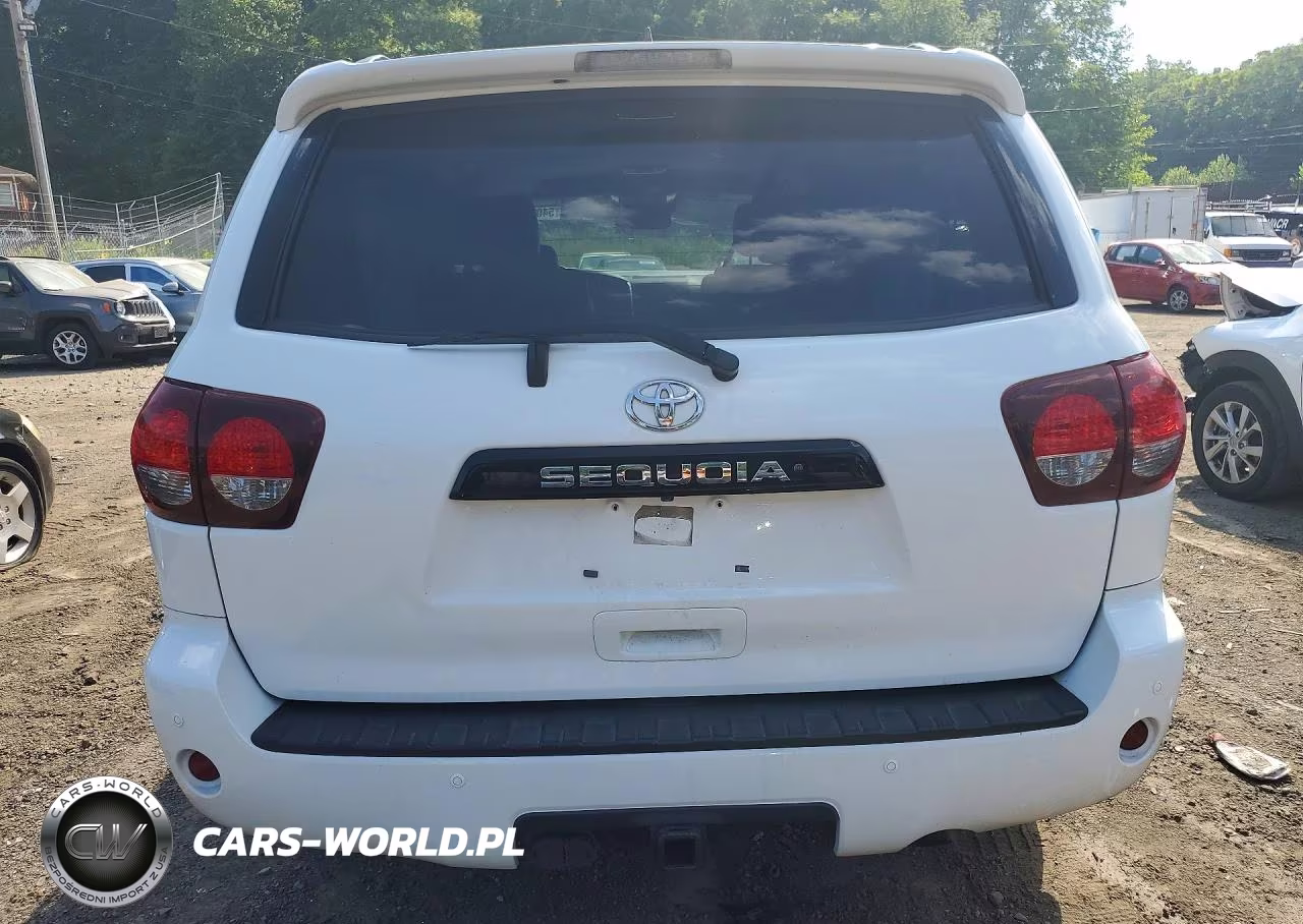 2019 Toyota Sequoia Trd Sport VIN:5TDBY5G18KS171799 - 6