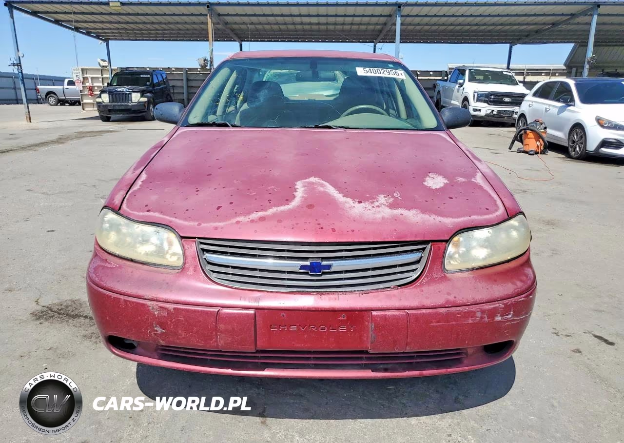 2005 Chevrolet Classic VIN:1G1ND52F75M191899 - 5