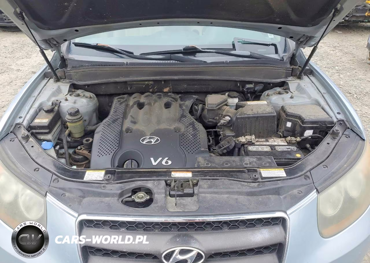 2007 Hyundai Santa Fe Gls VIN:5NMSG73D77H076062 - 12