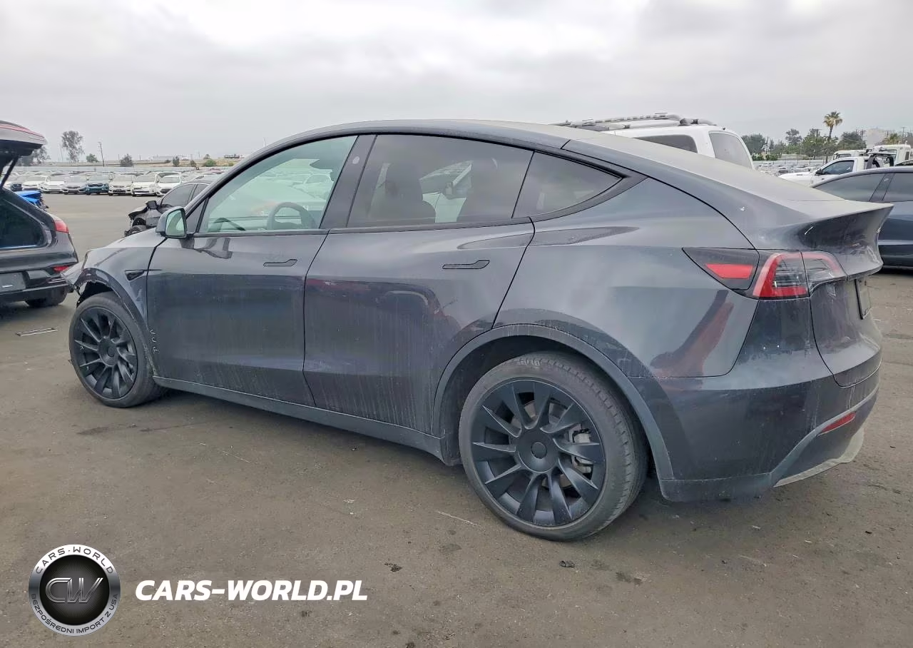 2024 Tesla Model Y VIN:7SAYGDEE7RF036070 - 2