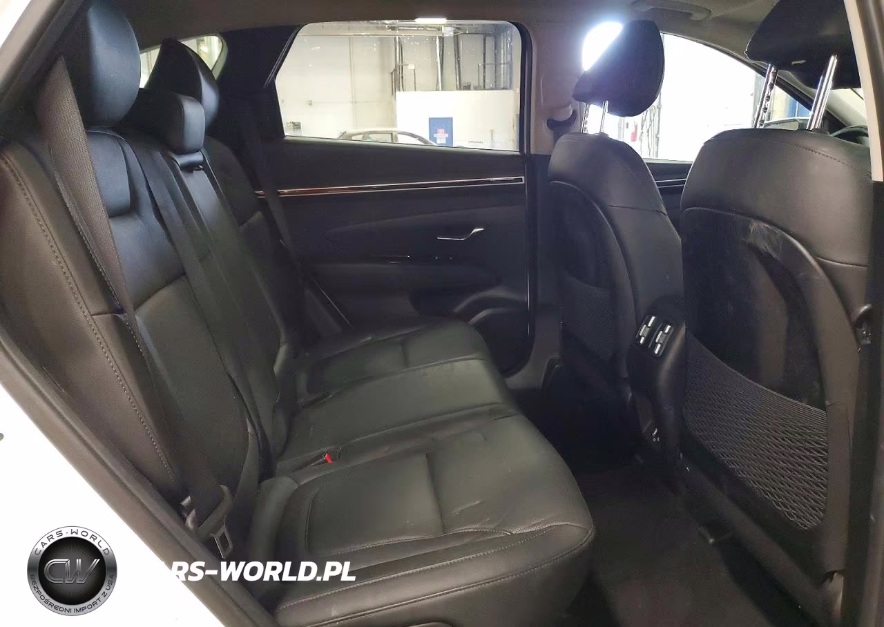 2023 Hyundai Tucson Limited VIN:5NMJE3AEXPH273314 - 10