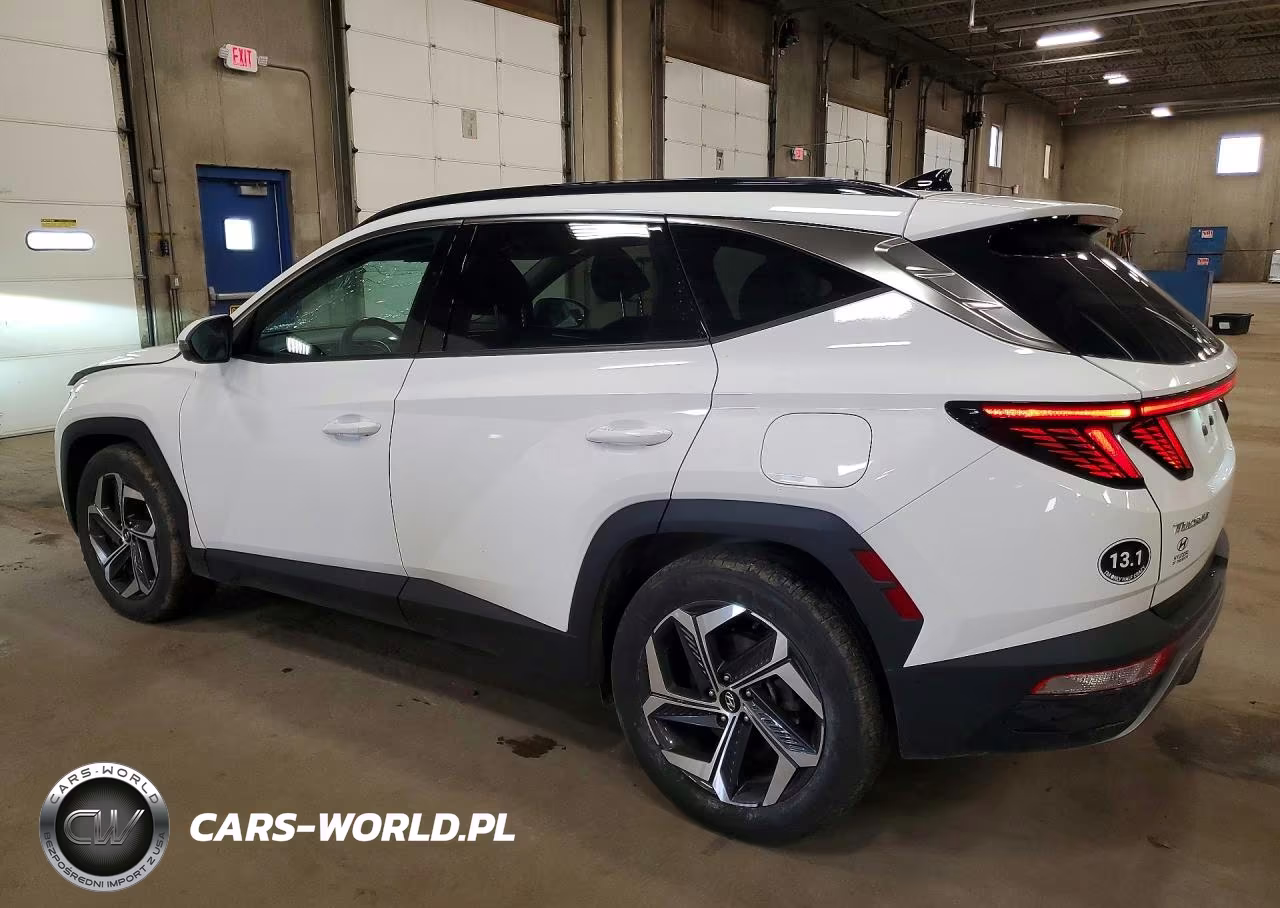 2023 Hyundai Tucson Limited VIN:5NMJE3AEXPH273314 - 2