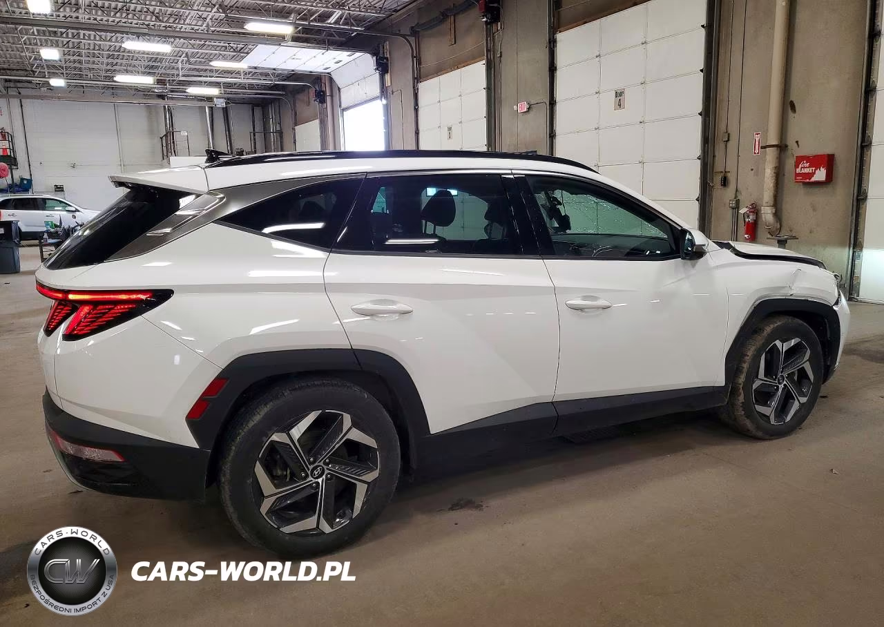2023 Hyundai Tucson Limited VIN:5NMJE3AEXPH273314 - 3