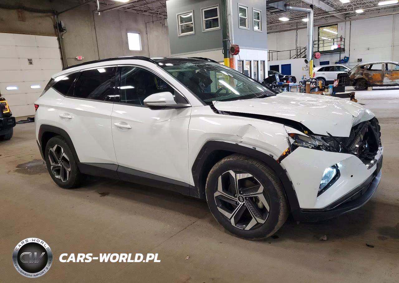 2023 Hyundai Tucson Limited VIN:5NMJE3AEXPH273314 - 4