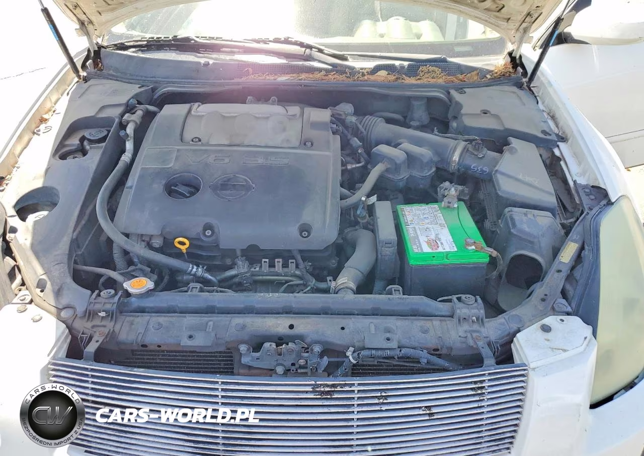 2004 Nissan Maximasesl VIN:1N4BA41E54C841698 - 11