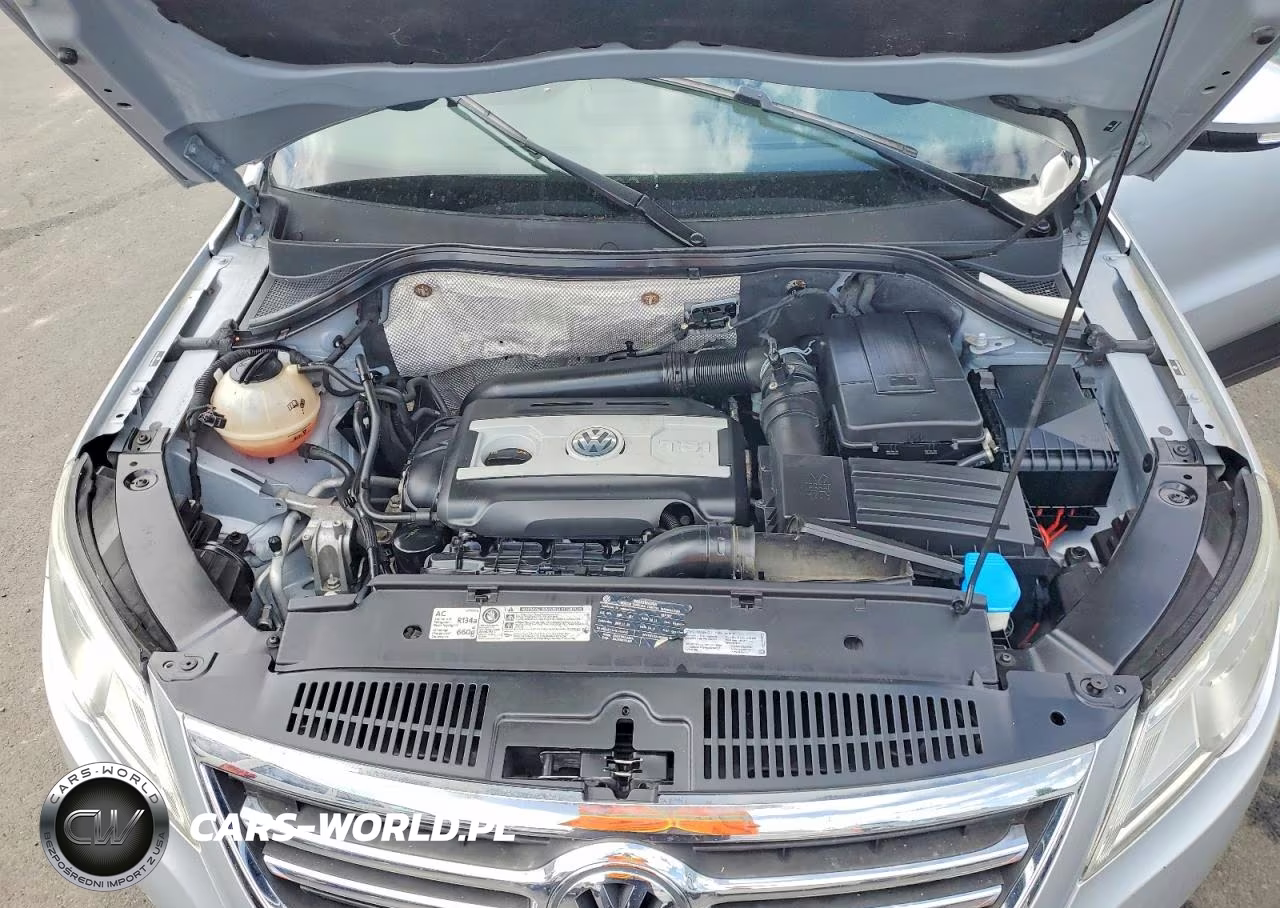 2011 Volkswagen Tiguan S VIN:WVGAV7AX2BW547521 - 11