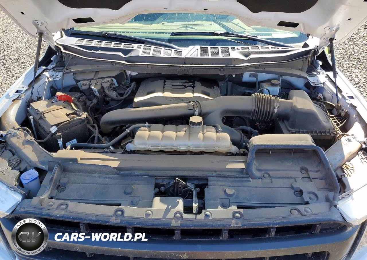 2023 Ford 150 VIN:1FTFW1E89PFC31127 - 11