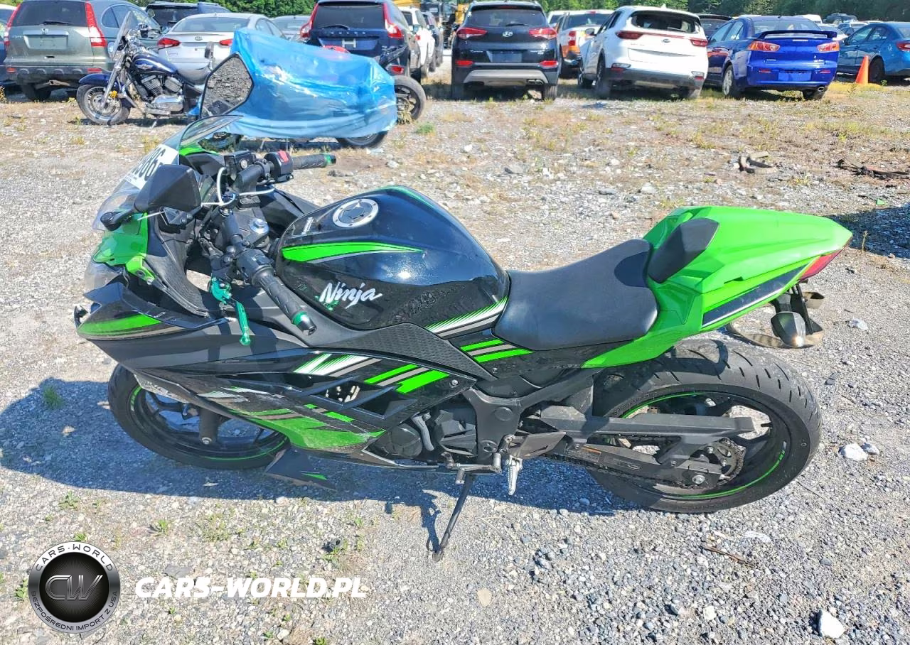 2016 Kawasaki Ex300 B VIN:JKAEX8B14GDA29135 - 3
