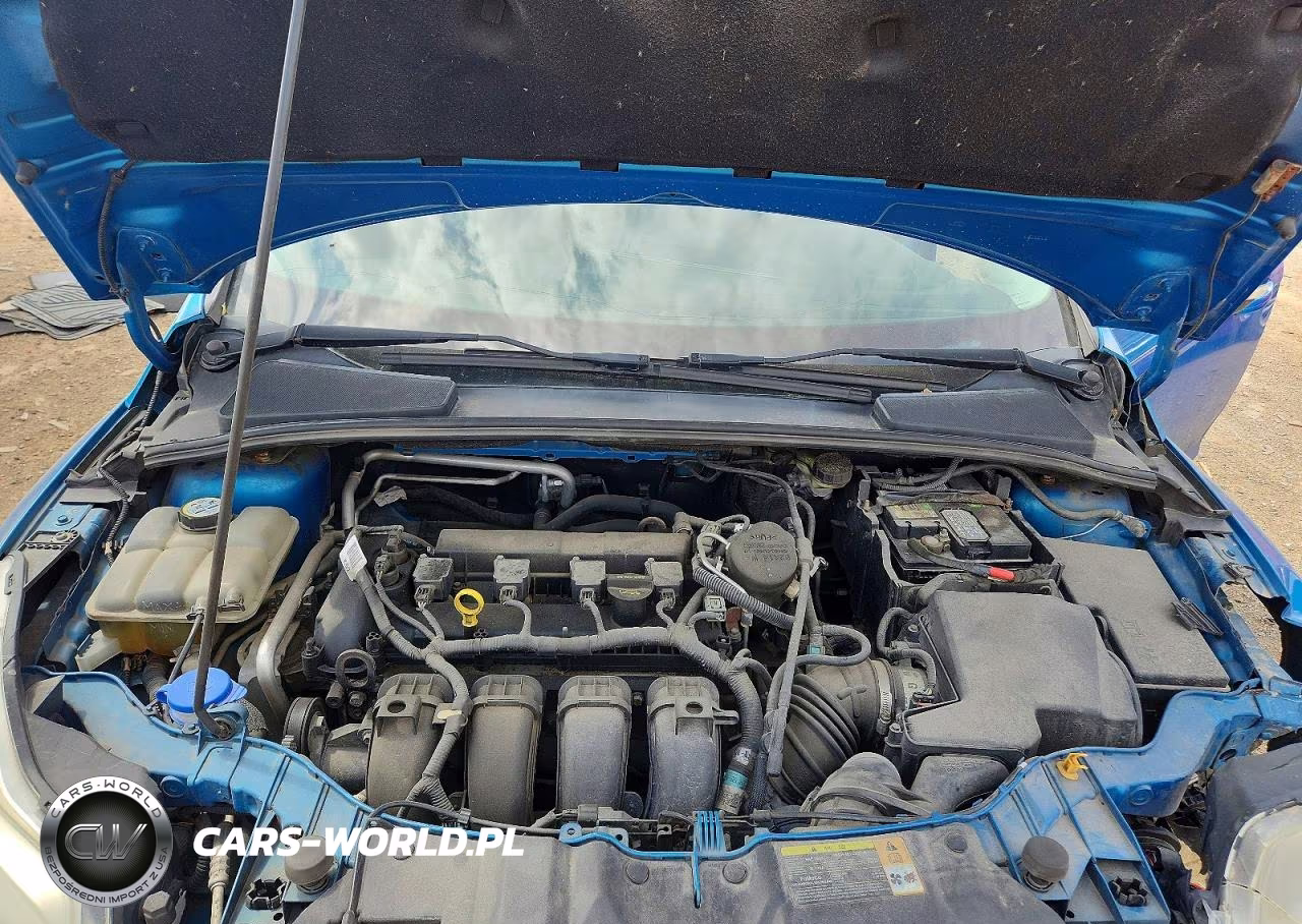2012 Ford Focus Sel VIN:1FAHP3H22CL237071 - 11