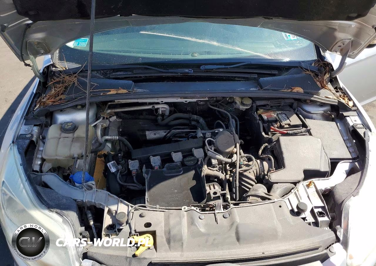 2014 Ford Focus Se VIN:1FADP3F29EL269469 - 11