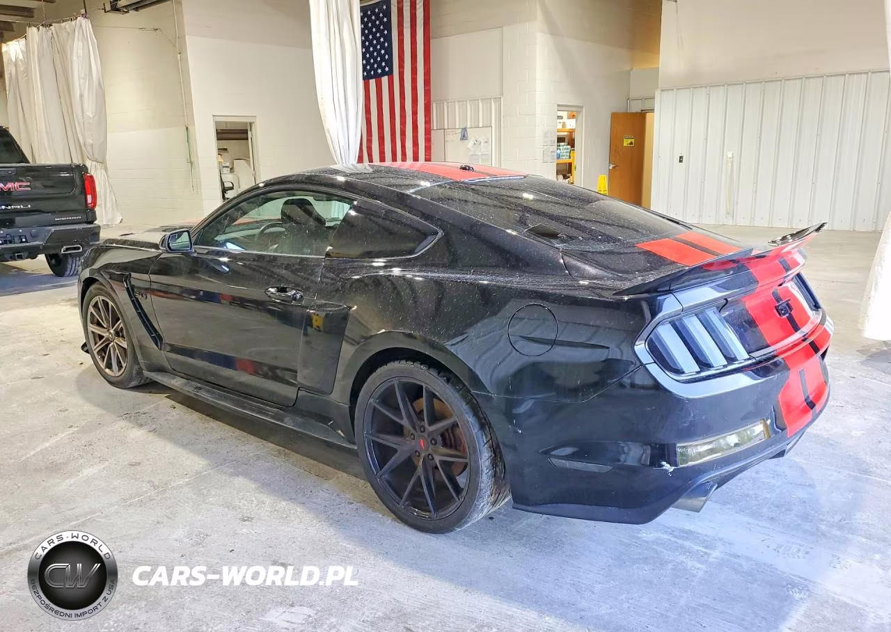 2017 Ford Mustang Gt VIN:1FA6P8CF5H5329401 - 2