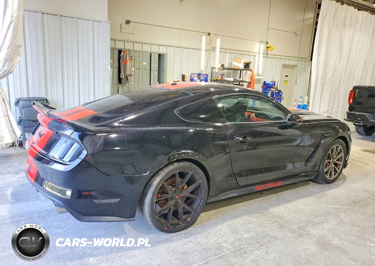 2017 Ford Mustang Gt VIN:1FA6P8CF5H5329401 - 3