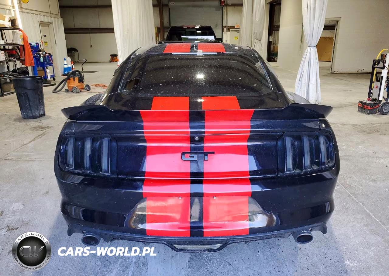 2017 Ford Mustang Gt VIN:1FA6P8CF5H5329401 - 6