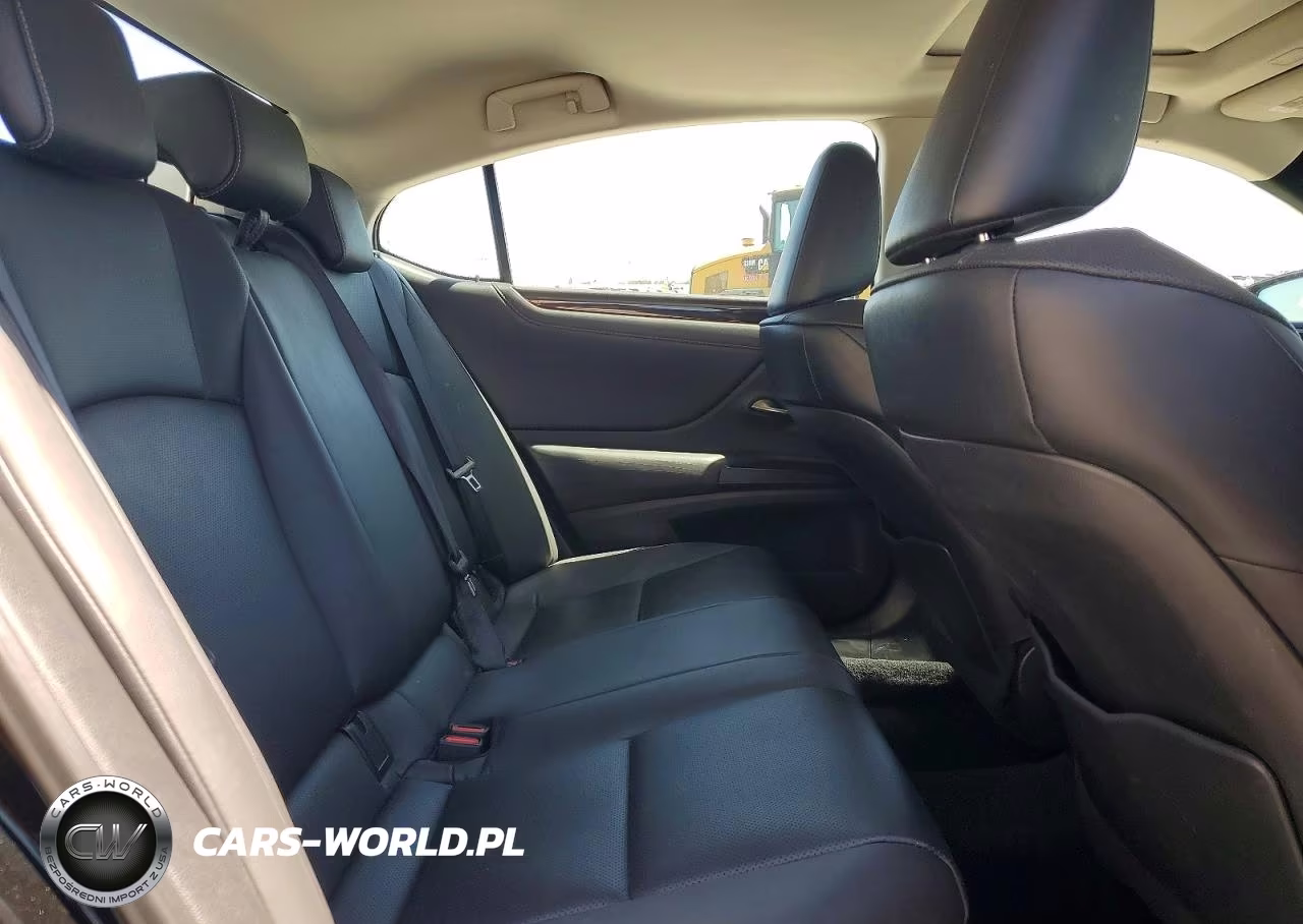 2020 Lexus Es 300H VIN:58AD21B19LU011314 - 10