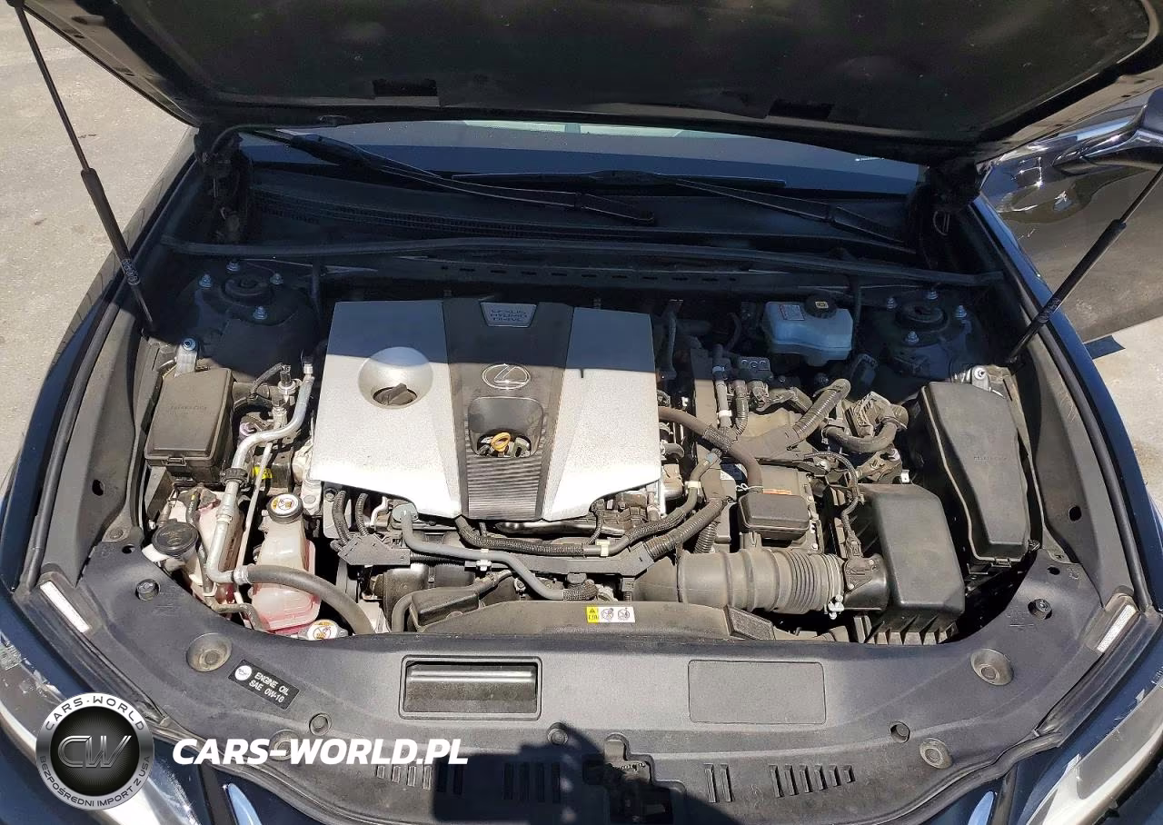 2020 Lexus Es 300H VIN:58AD21B19LU011314 - 11