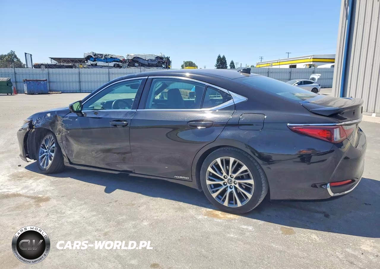 2020 Lexus Es 300H VIN:58AD21B19LU011314 - 2