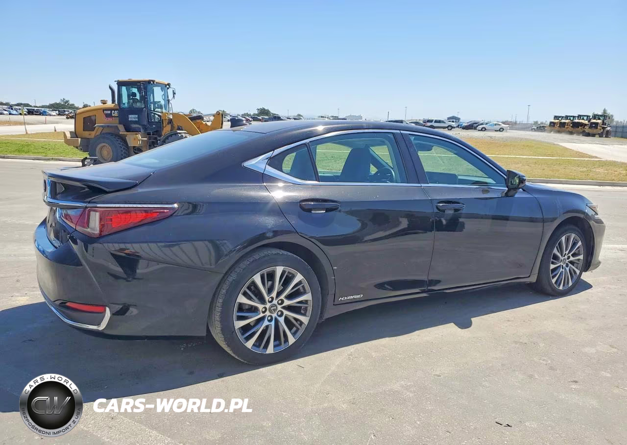 2020 Lexus Es 300H VIN:58AD21B19LU011314 - 3