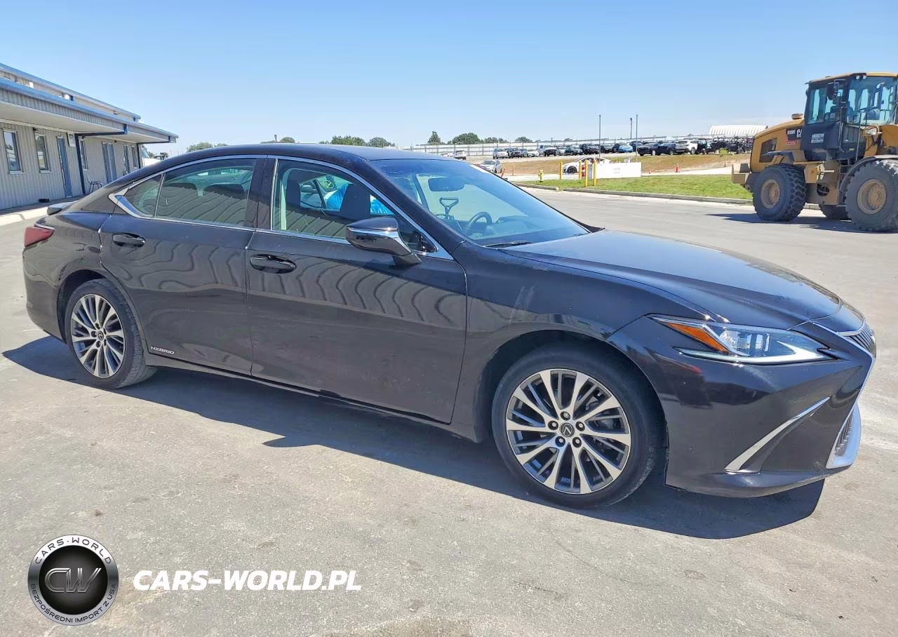 2020 Lexus Es 300H VIN:58AD21B19LU011314 - 4