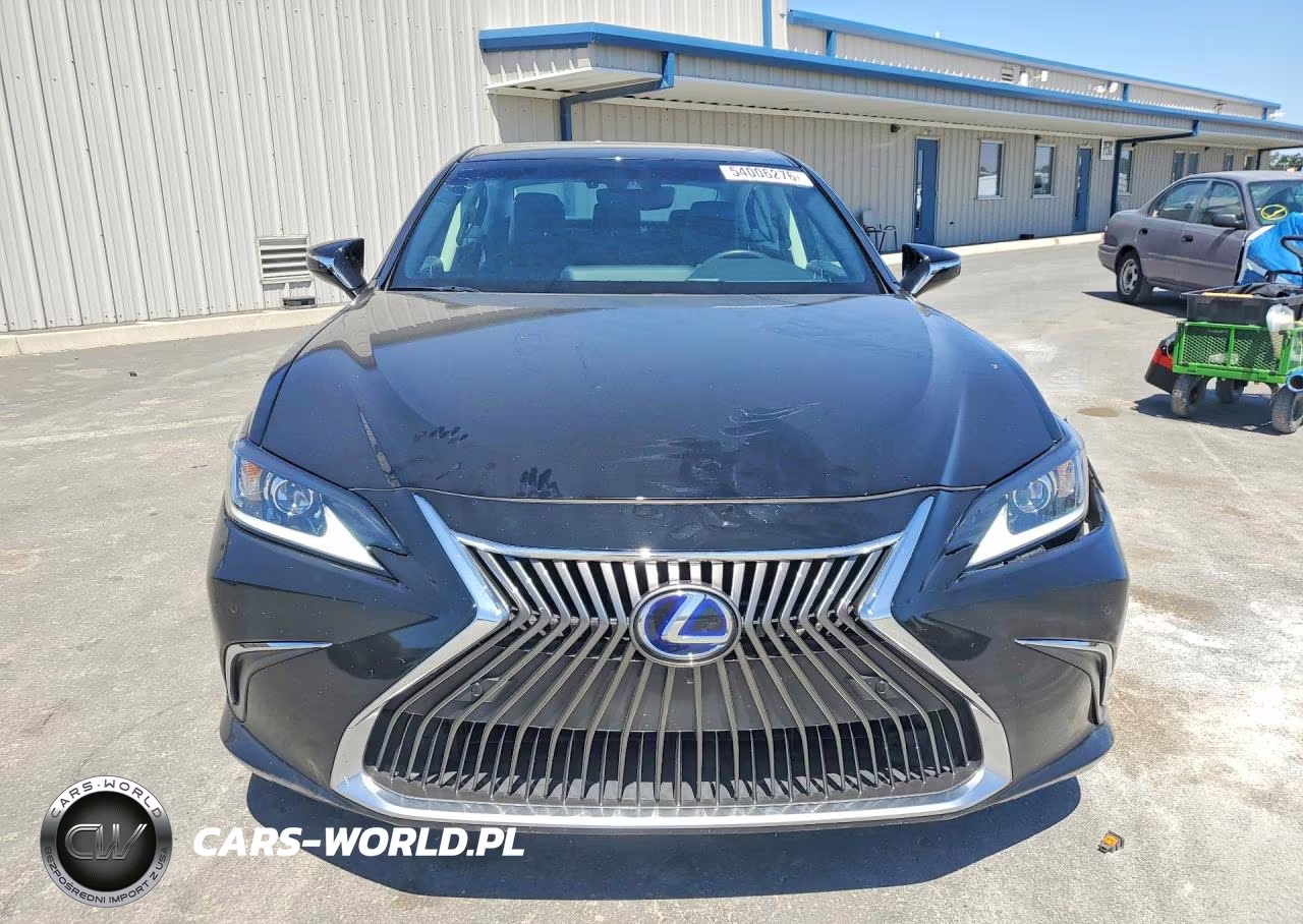 2020 Lexus Es 300H VIN:58AD21B19LU011314 - 5